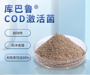 库巴鲁COD激活菌种