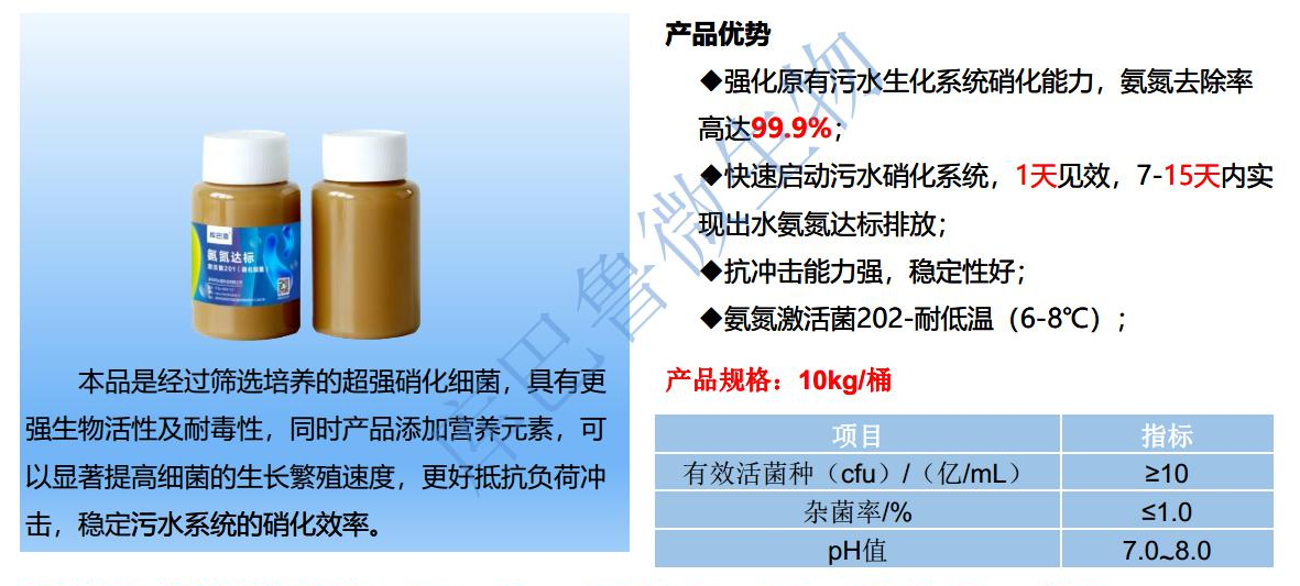 低温氨氮激活菌1