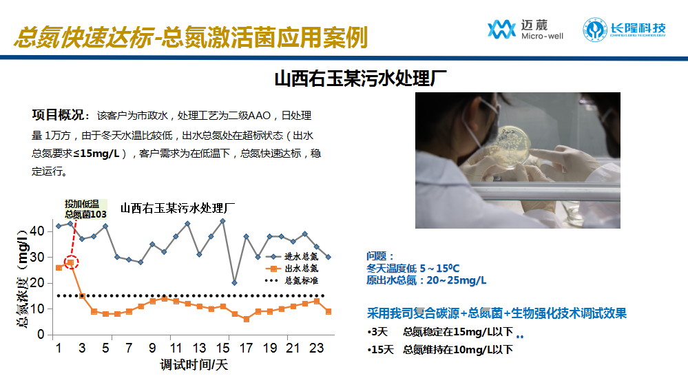 低温总氮激活菌应用案例