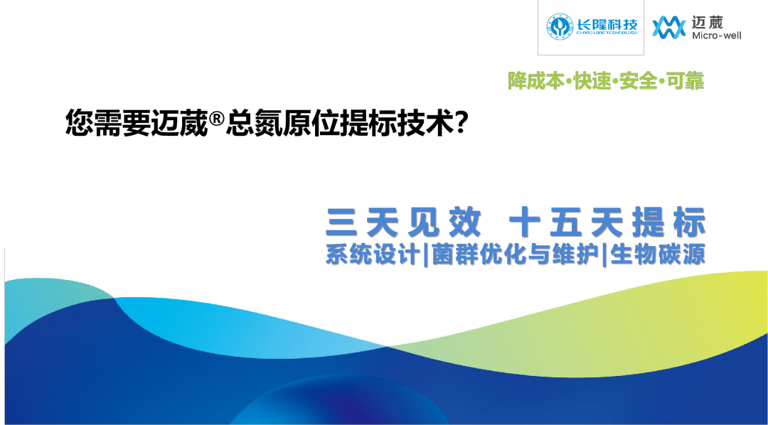迈葳总氮提标技术
